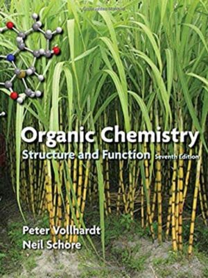 Organic Chemistry: Structure and Function (7th edition) – eBook PDF