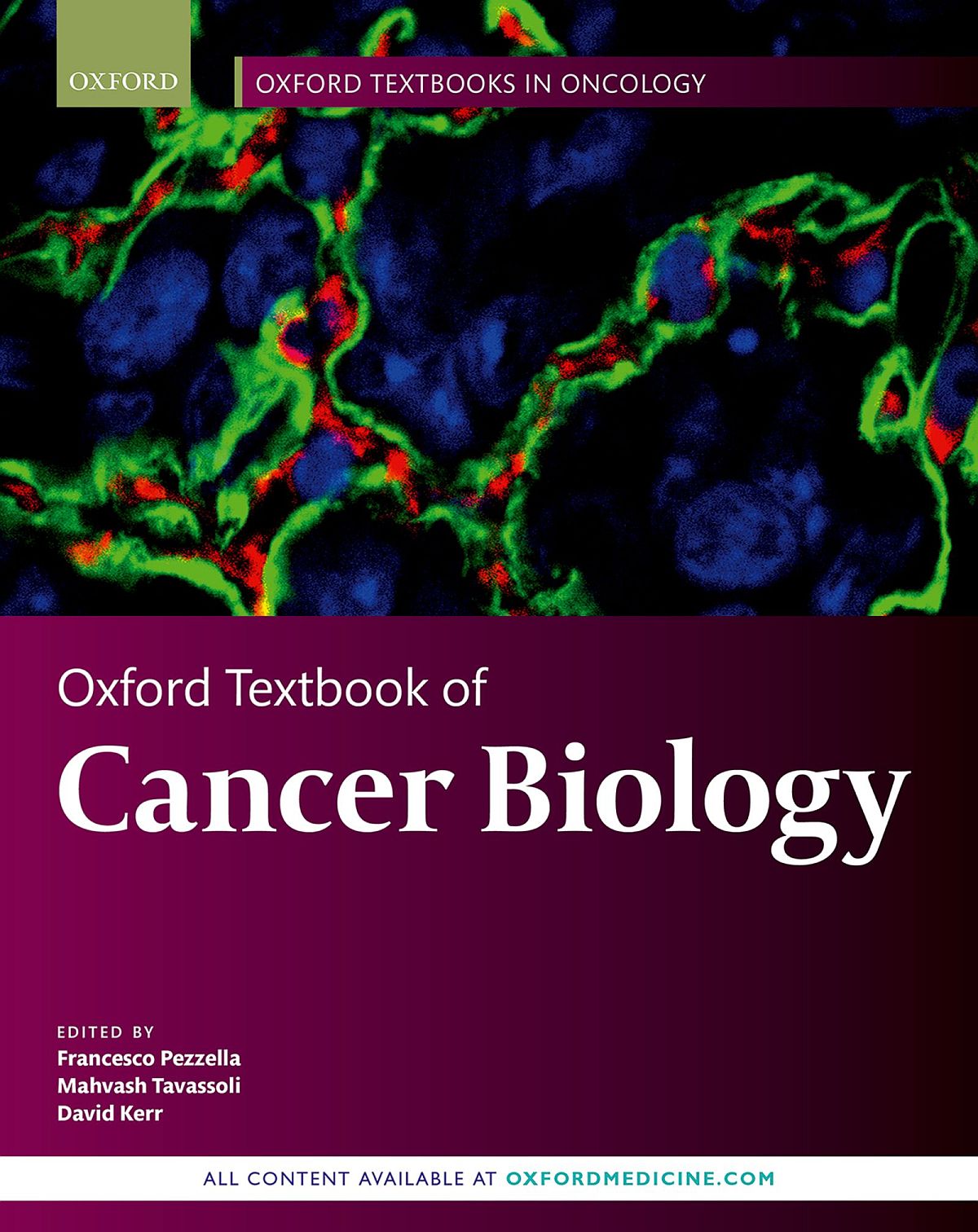 Oxford Textbook of Cancer Biology – eBook PDF